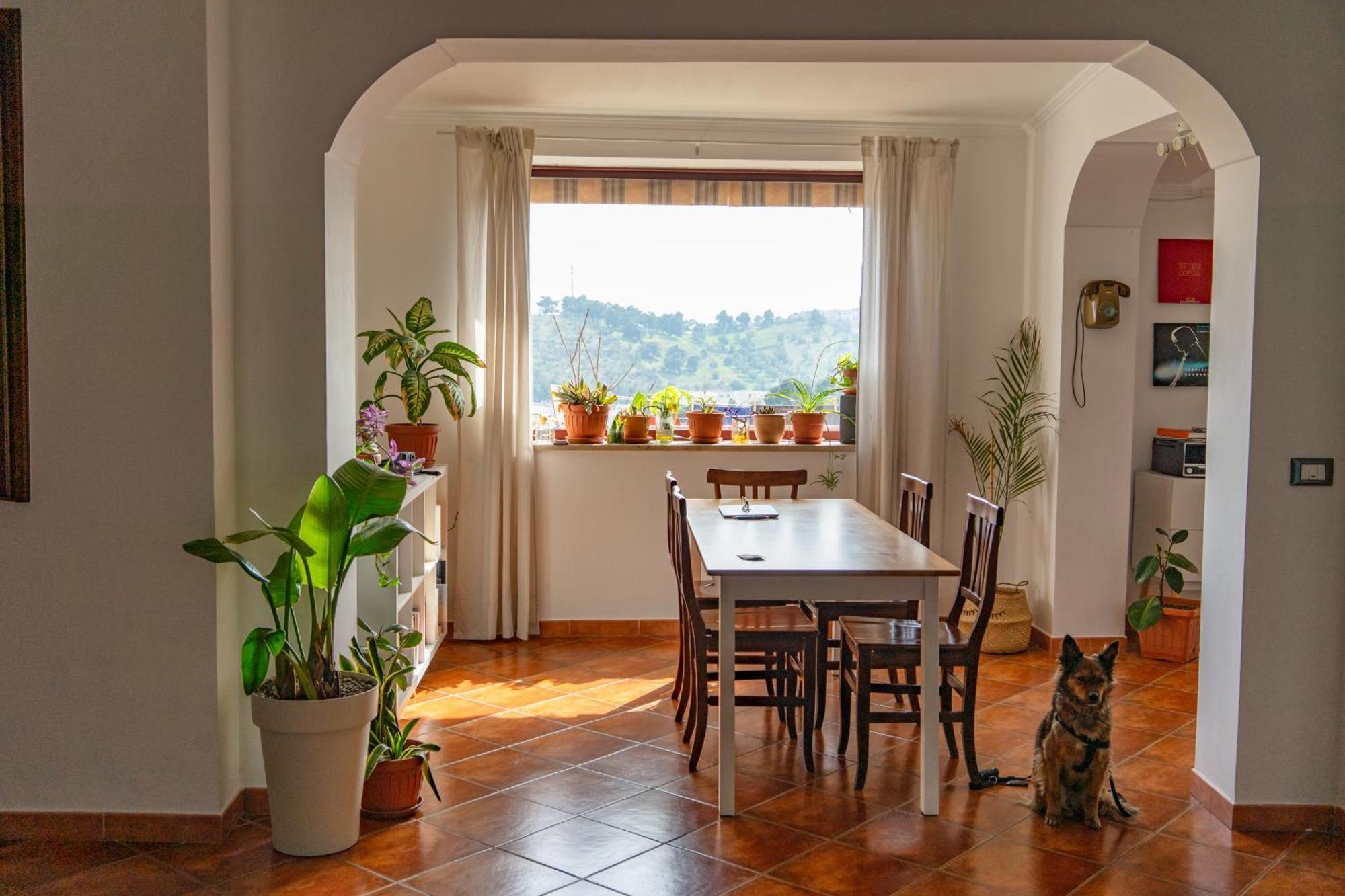 Coliving Together Gargano Vieste Exteriör bild
